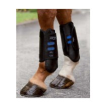 dalmar-hind-eventer-boots